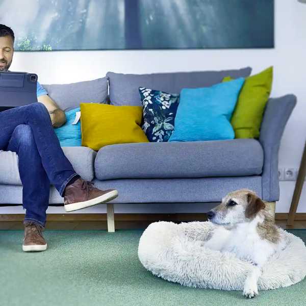 Teppich Wohnzimmer: Mann auf Sofa mit Hund davor auf Teppich